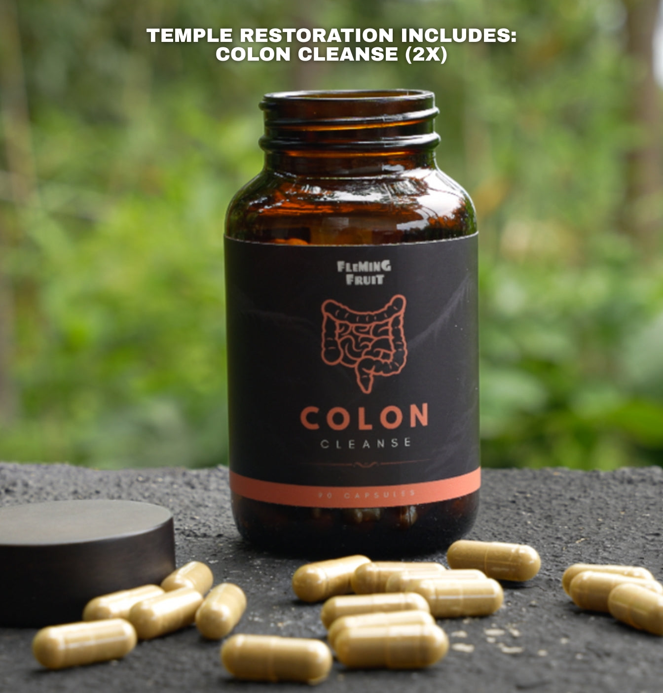 Temple Restoration Bundle