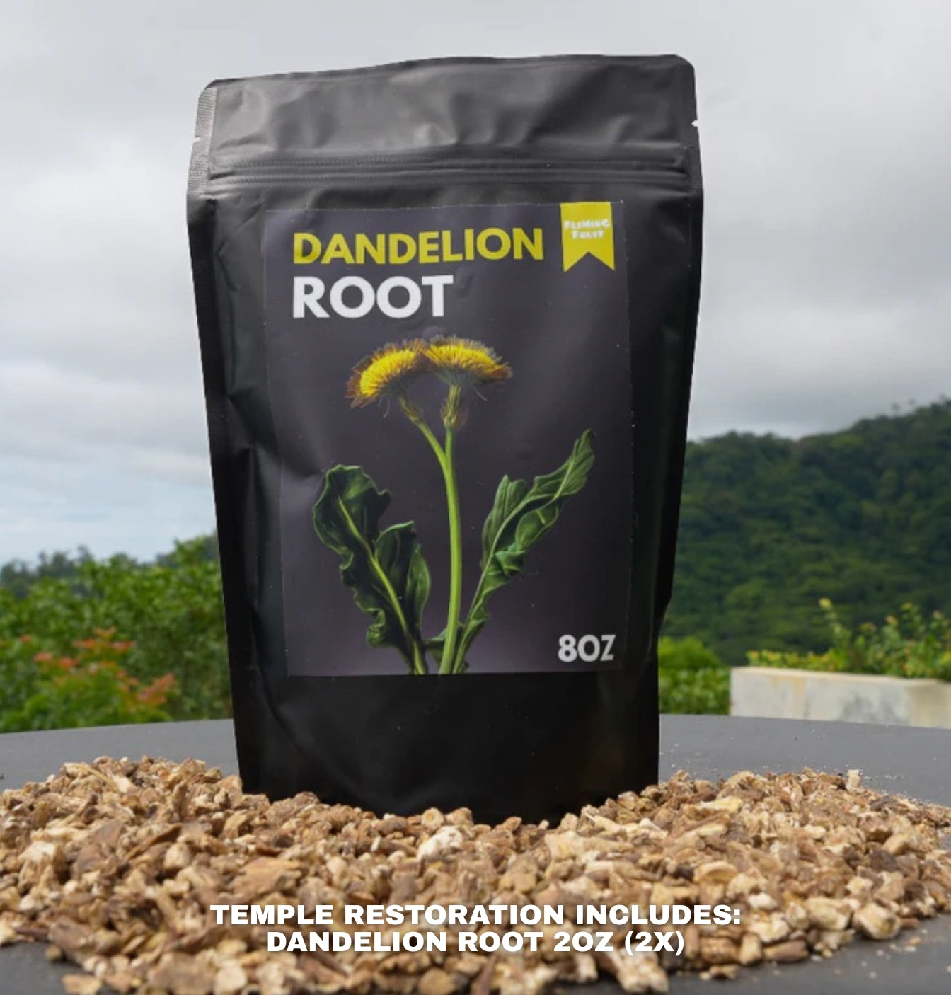 Temple Restoration Bundle