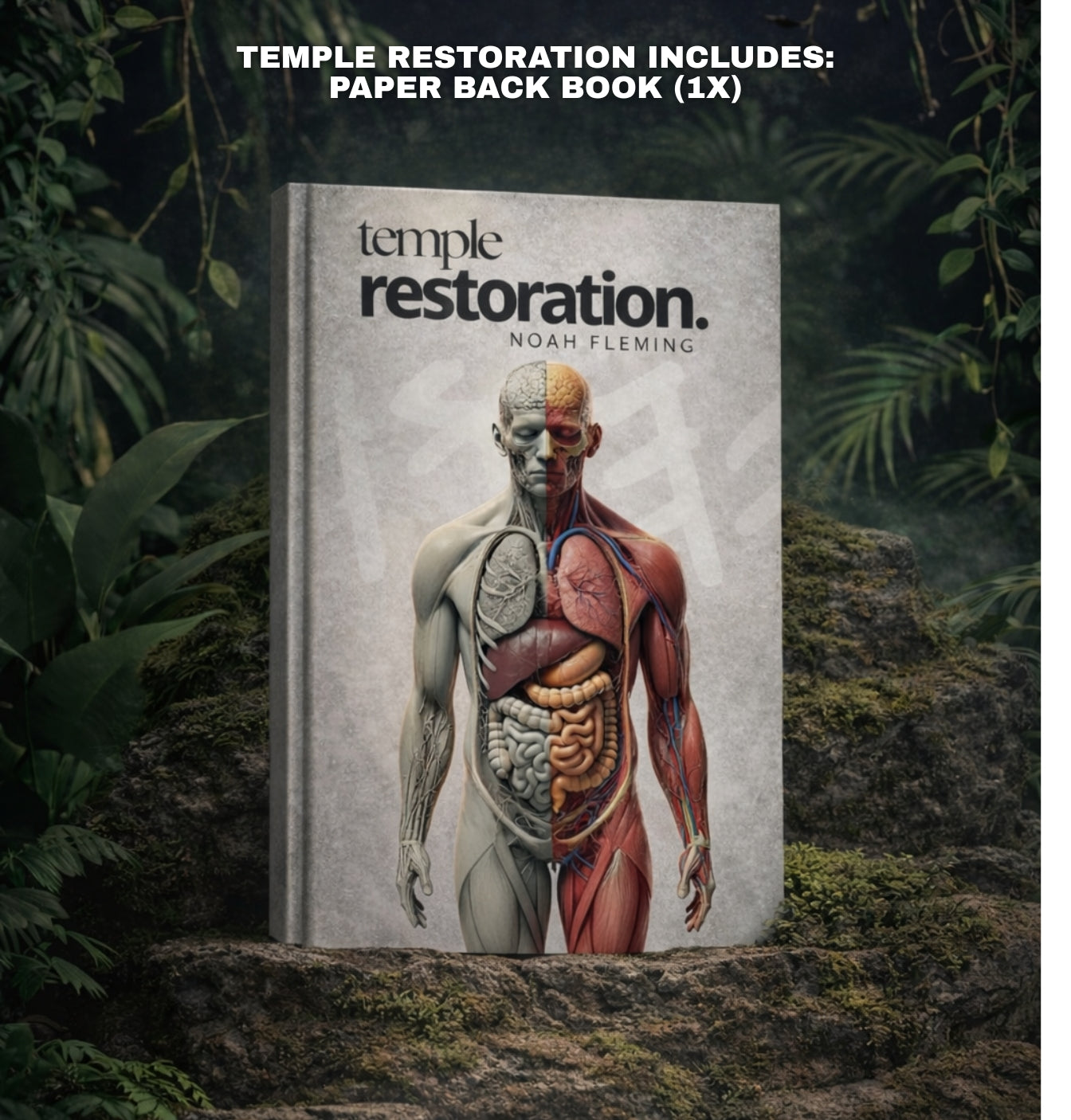 Temple Restoration Bundle