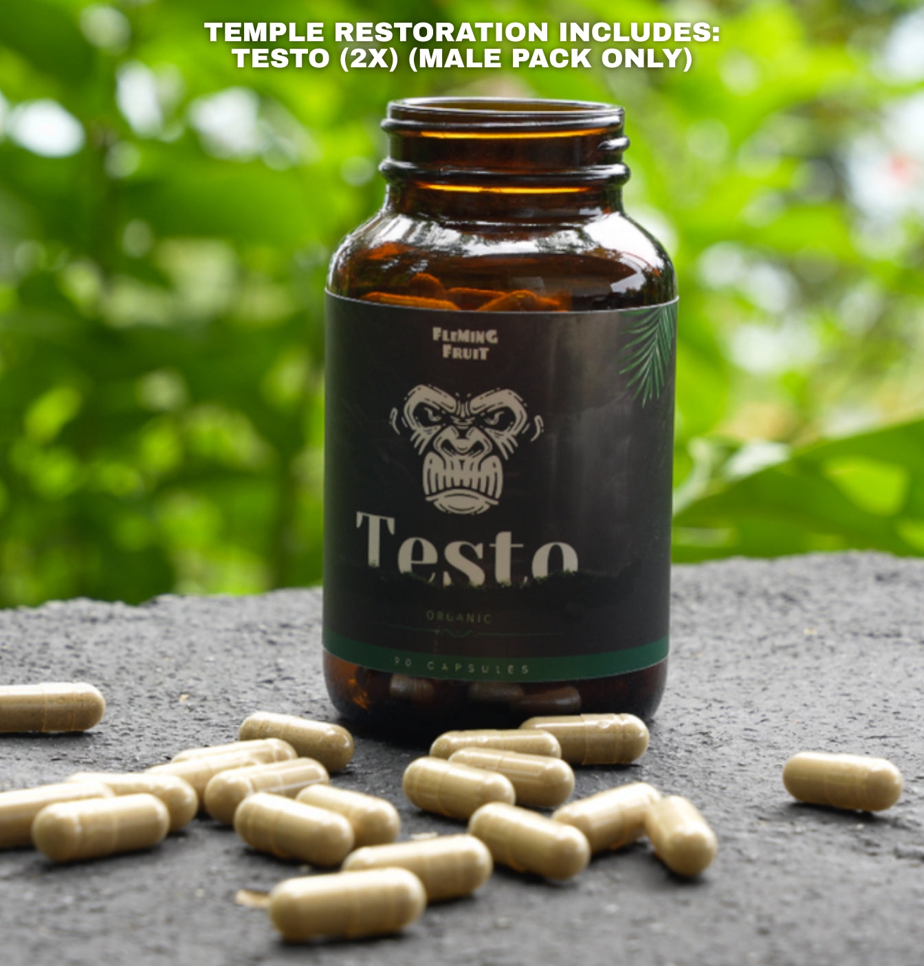 Temple Restoration Bundle