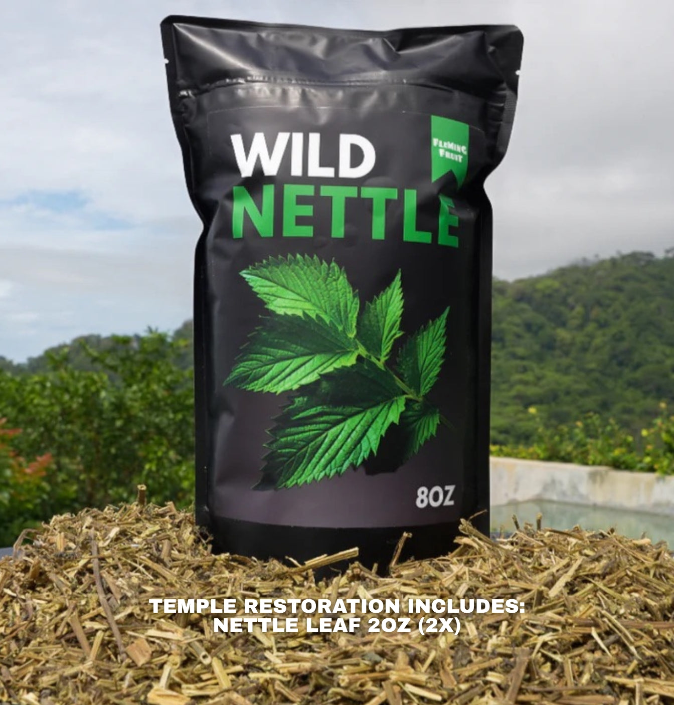 Temple Restoration Bundle