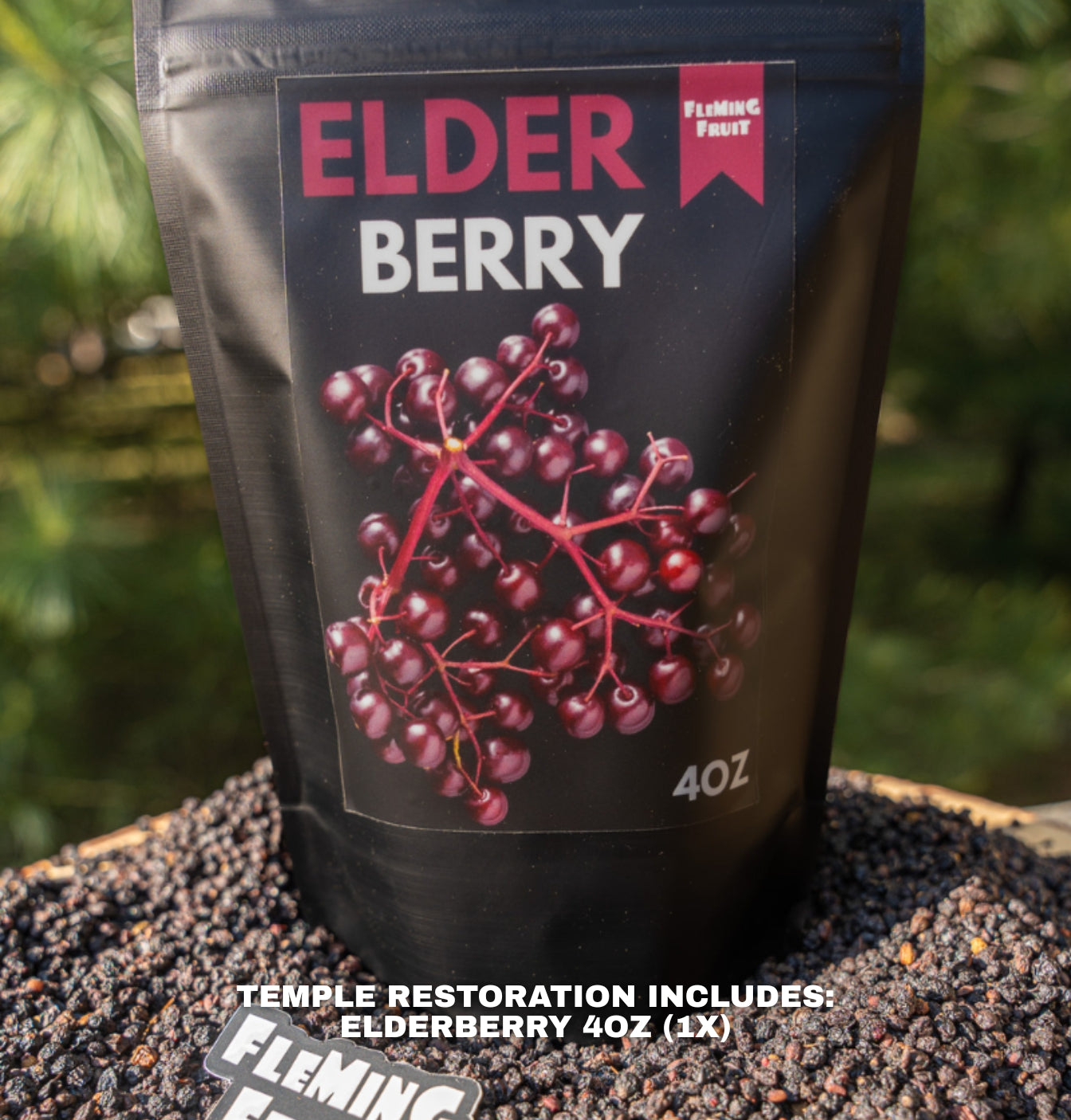 Temple Restoration Bundle