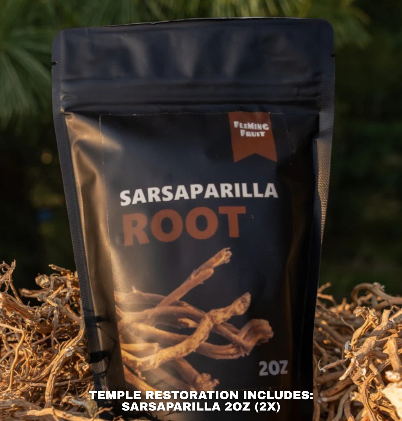 Temple Restoration Bundle