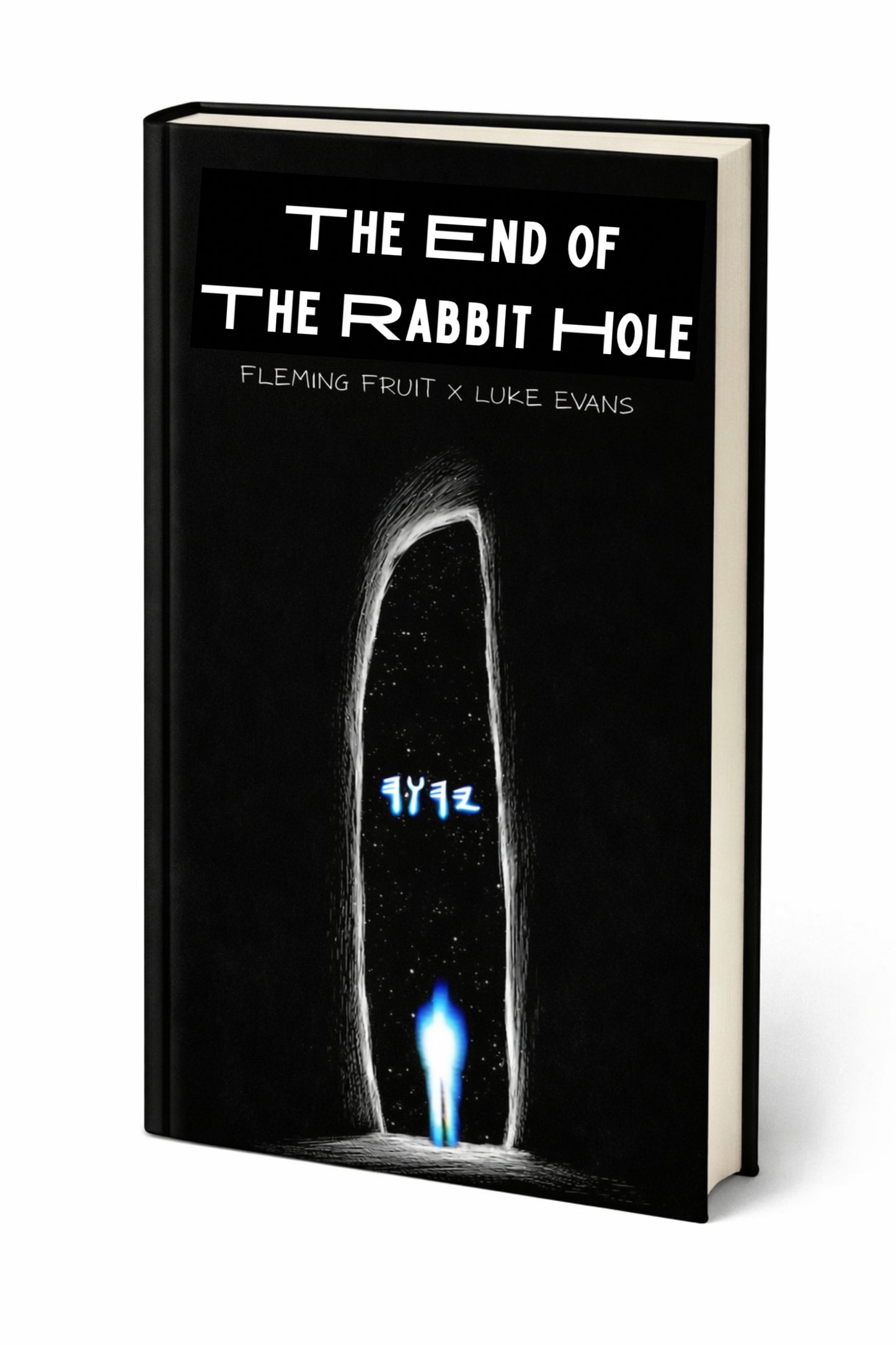 The End Of The Rabbit Hole Paperback