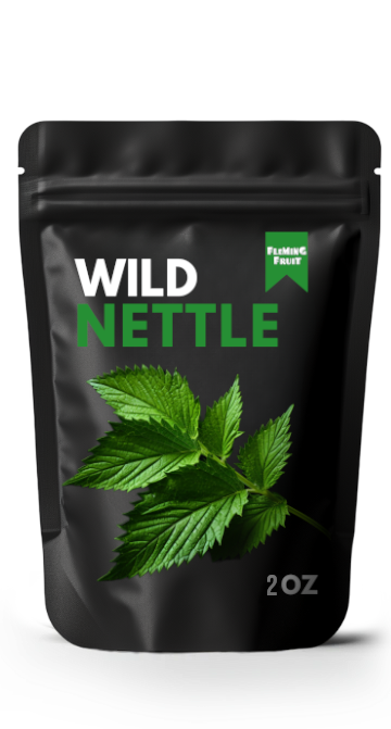 Organic Wildcrafted Nettle Leaf