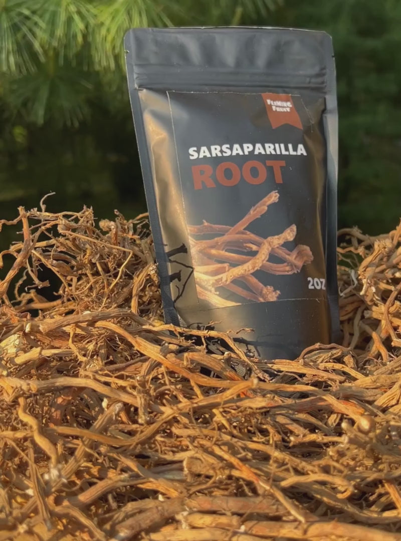 Organic Wildcrafted Jamaican Sarsaparilla Root – Fleming Fruit